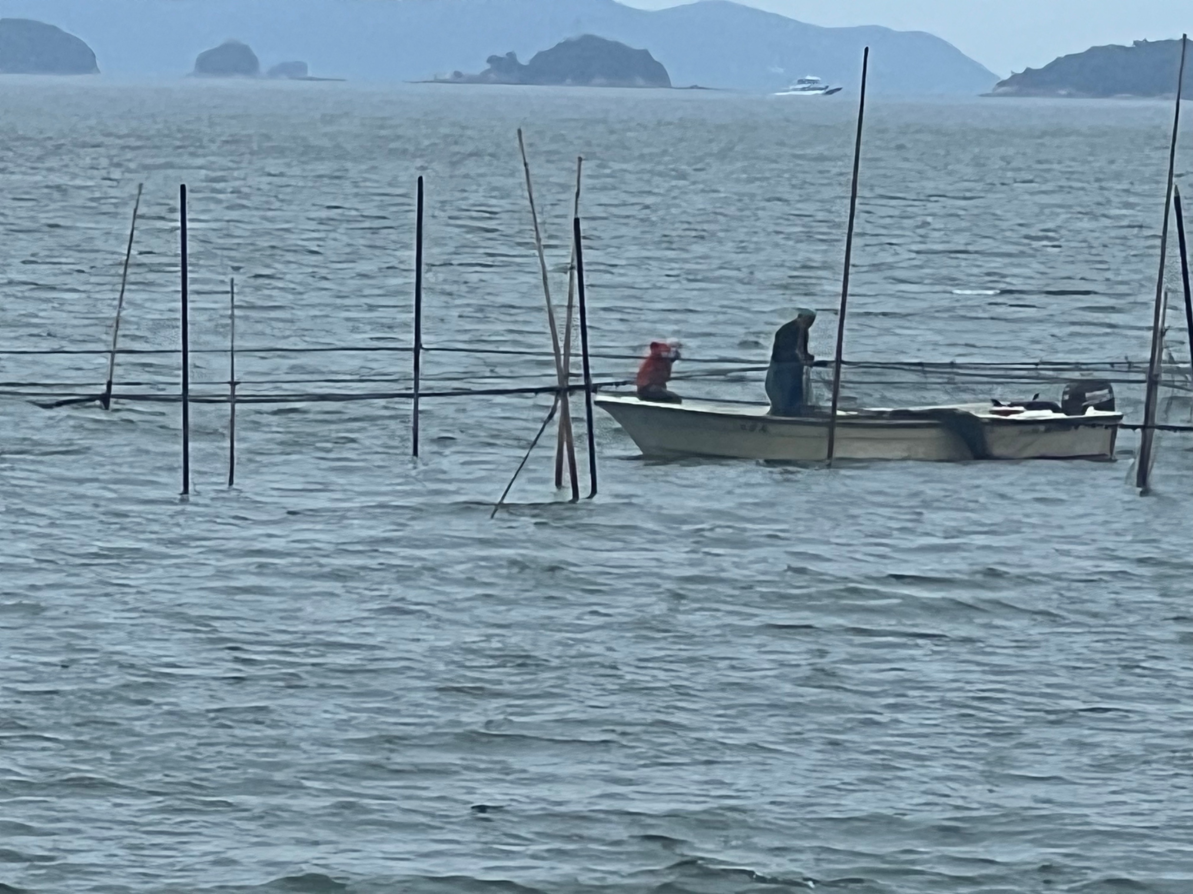 株式会社泰一景