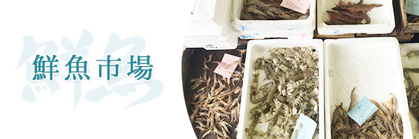 鮮魚市場